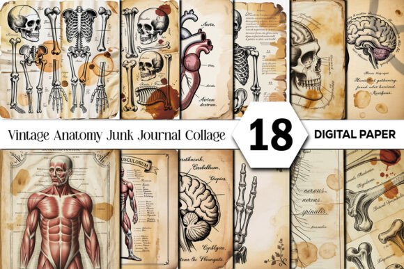 Exploring the Vintage Anatomy Junk Journal Collage Aesthetic
